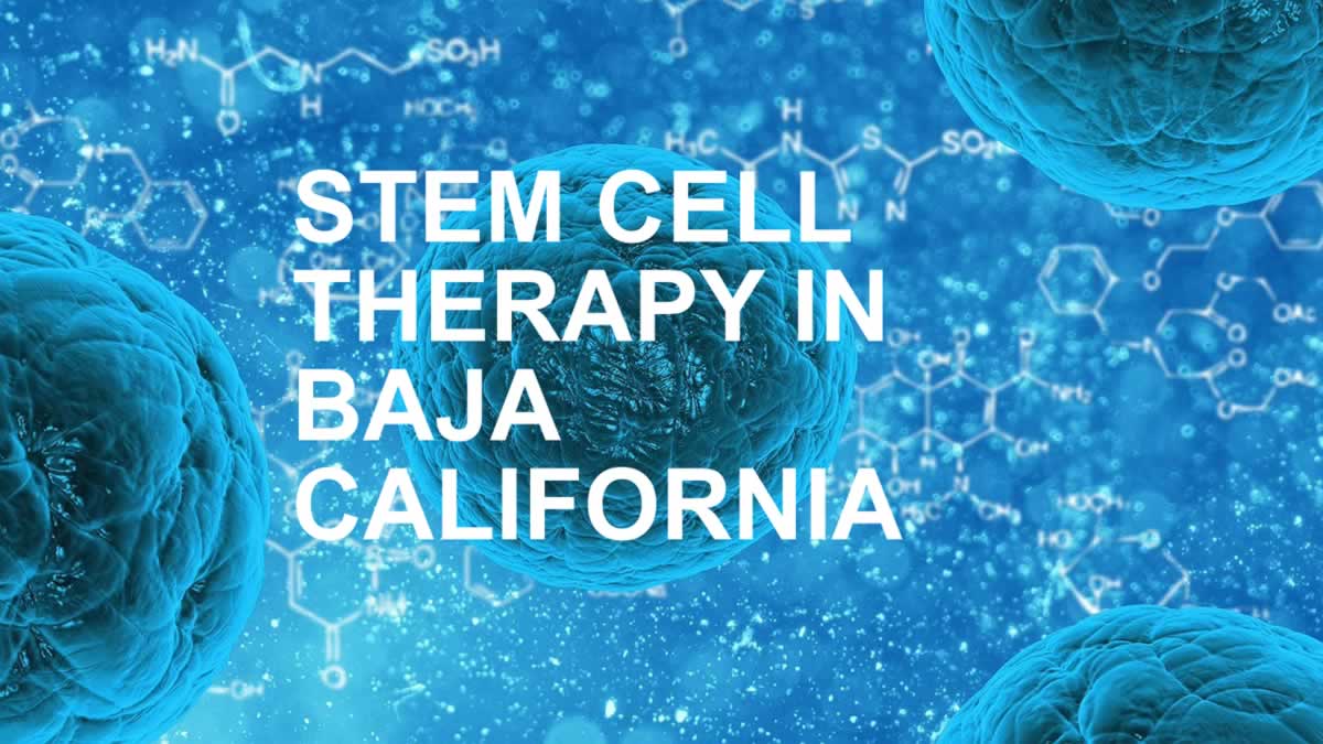 stem cell treatment als